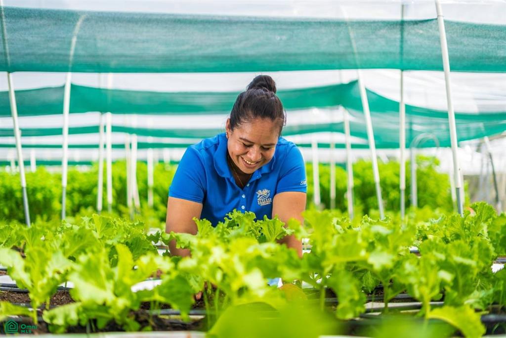 Casa Clara, Reserva Conchal , Cabo Velas, Guanacaste