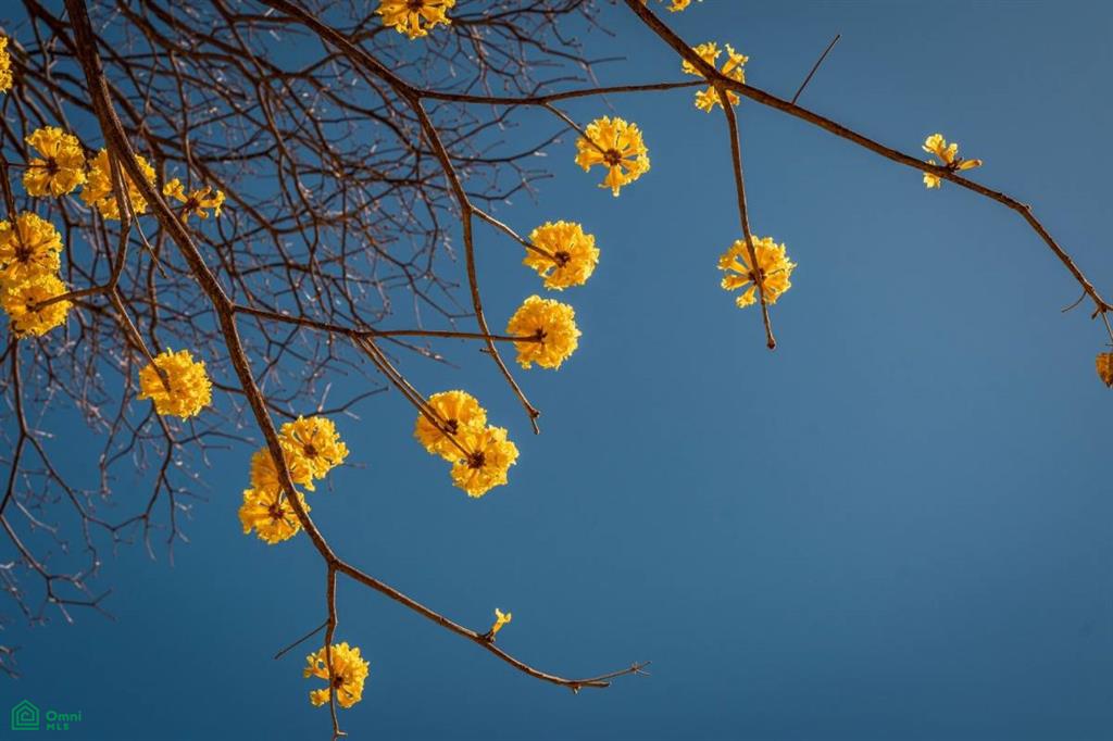 Casa Clara, Reserva Conchal , Cabo Velas, Guanacaste