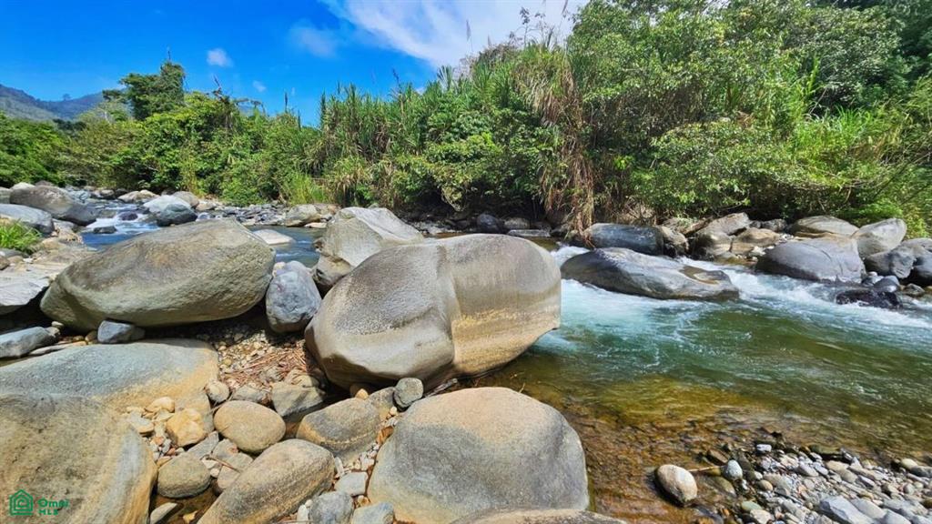 Finca Tierra Negra , San Pedro, Perez Zeledon, San Jose