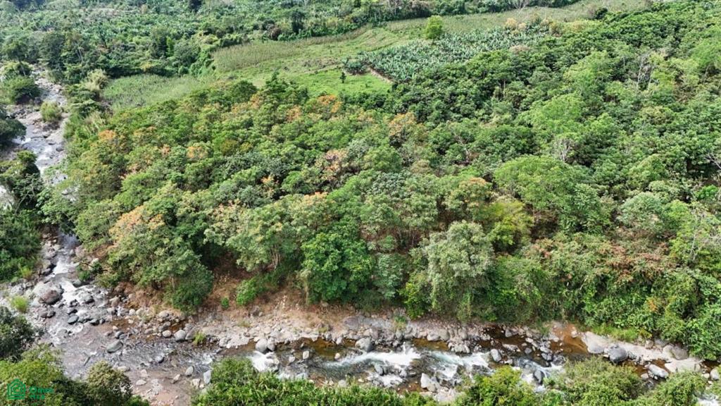 Finca Tierra Negra , San Pedro, Perez Zeledon, San Jose