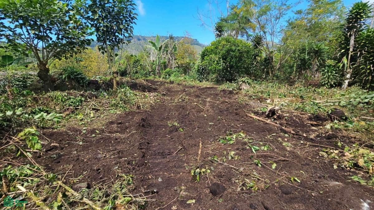 Finca Tierra Negra , San Pedro, Perez Zeledon, San Jose