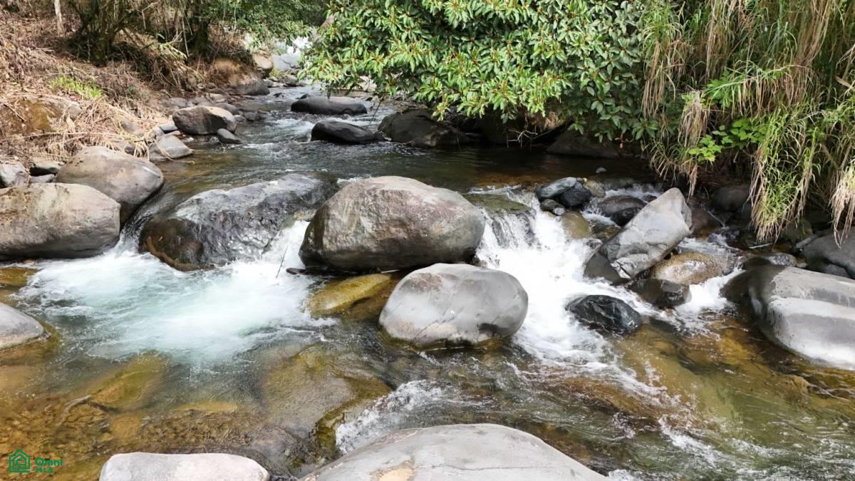 Finca Tierra Negra , San Pedro, Perez Zeledon, San Jose