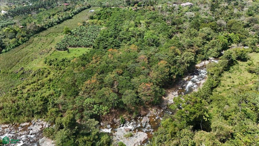 Finca Tierra Negra , San Pedro, Perez Zeledon, San Jose