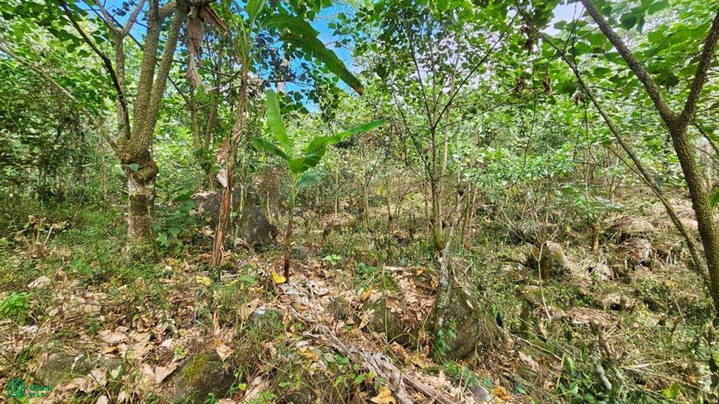 Finca Tierra Negra , San Pedro, Perez Zeledon, San Jose