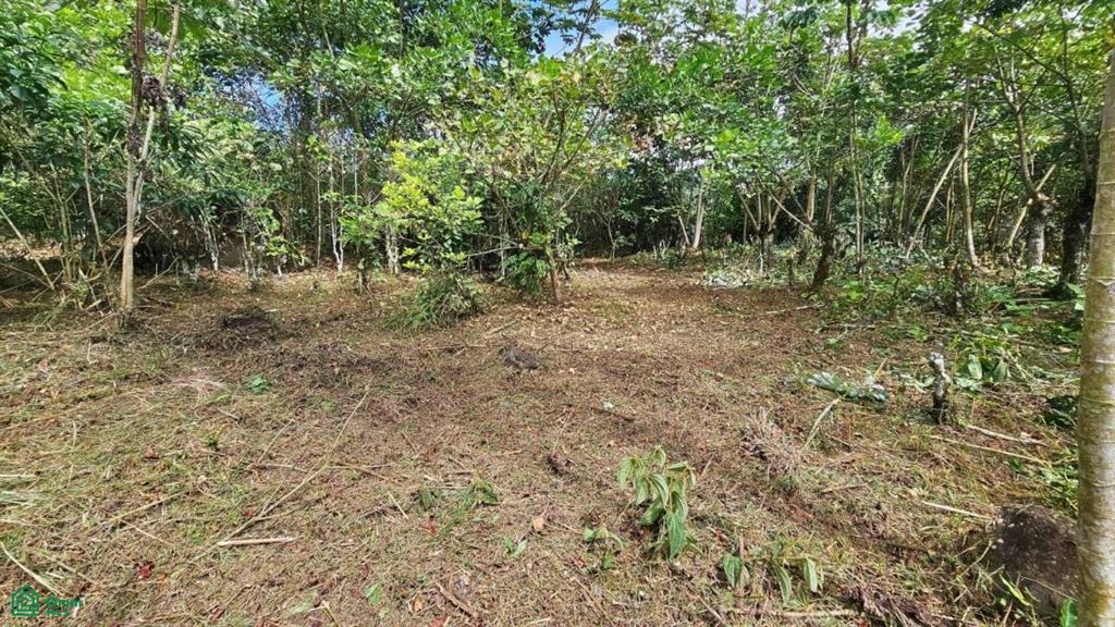 Finca Tierra Negra , San Pedro, Perez Zeledon, San Jose