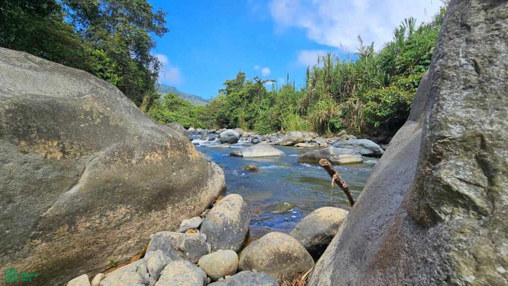 Finca Tierra Negra , San Pedro, Perez Zeledon, San Jose