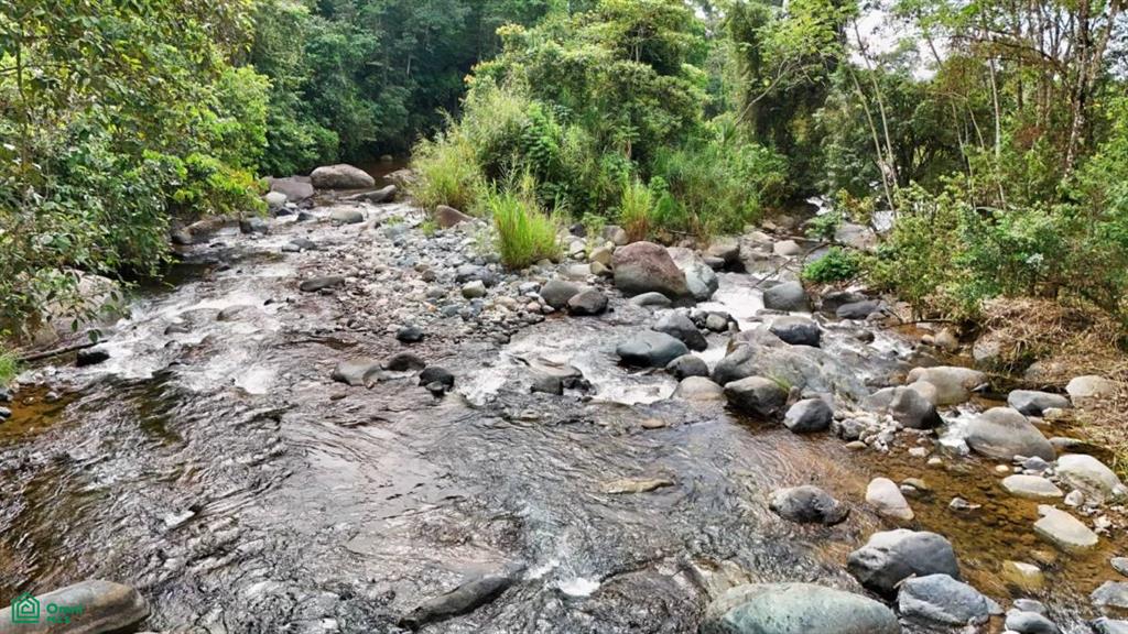 Finca Tierra Negra , San Pedro, Perez Zeledon, San Jose