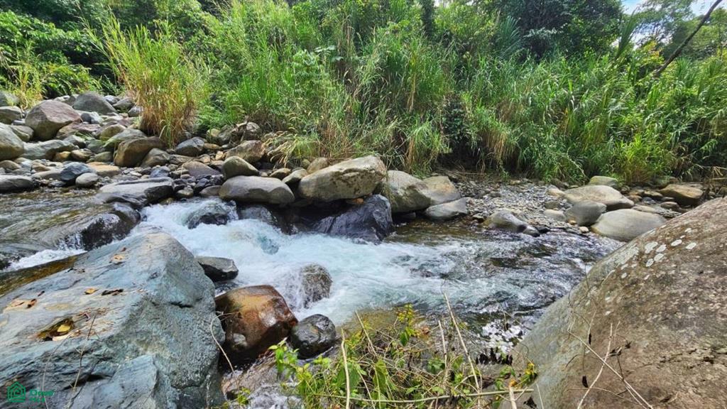 Finca Tierra Negra , San Pedro, Perez Zeledon, San Jose