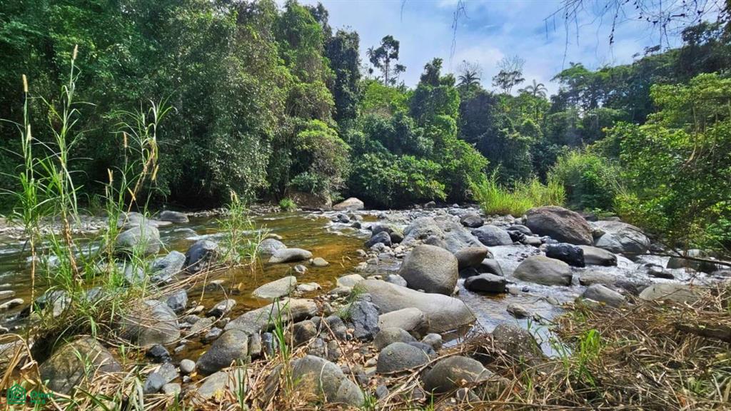 Finca Tierra Negra , San Pedro, Perez Zeledon, San Jose