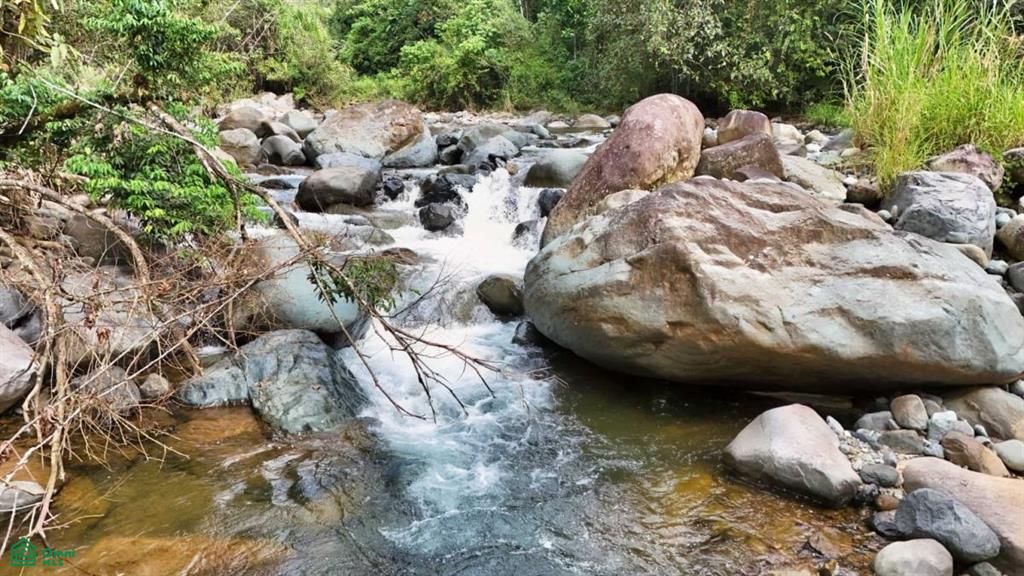 Finca Tierra Negra , San Pedro, Perez Zeledon, San Jose