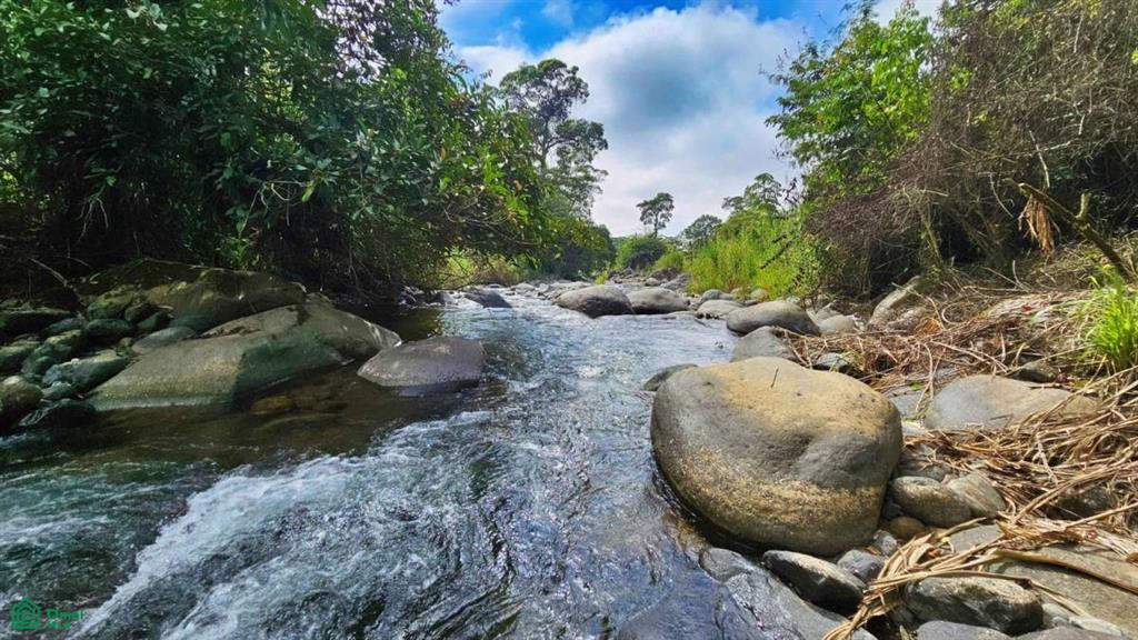 Finca Tierra Negra , San Pedro, Perez Zeledon, San Jose