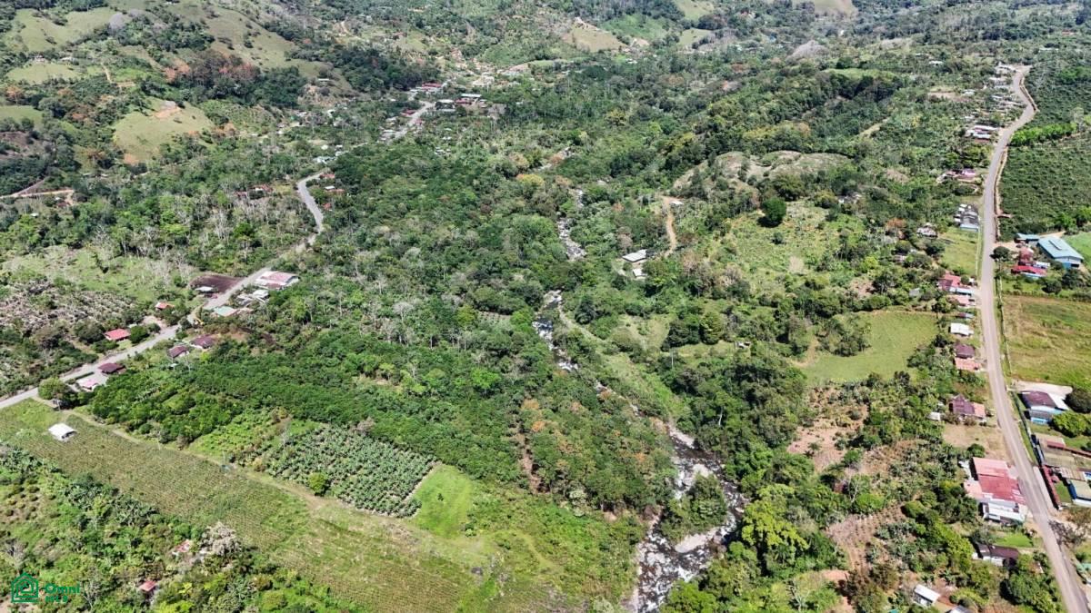 Finca Tierra Negra , San Pedro, Perez Zeledon, San Jose