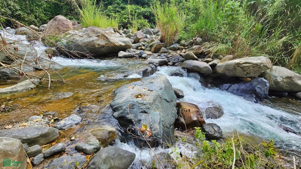 Finca Tierra Negra , San Pedro, Perez Zeledon, San Jose
