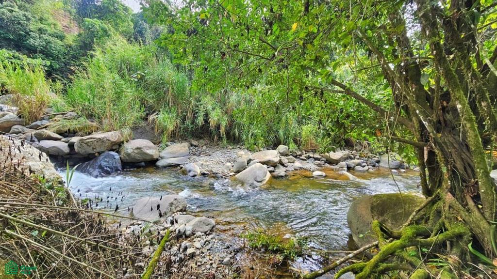 Finca Tierra Negra , San Pedro, Perez Zeledon, San Jose