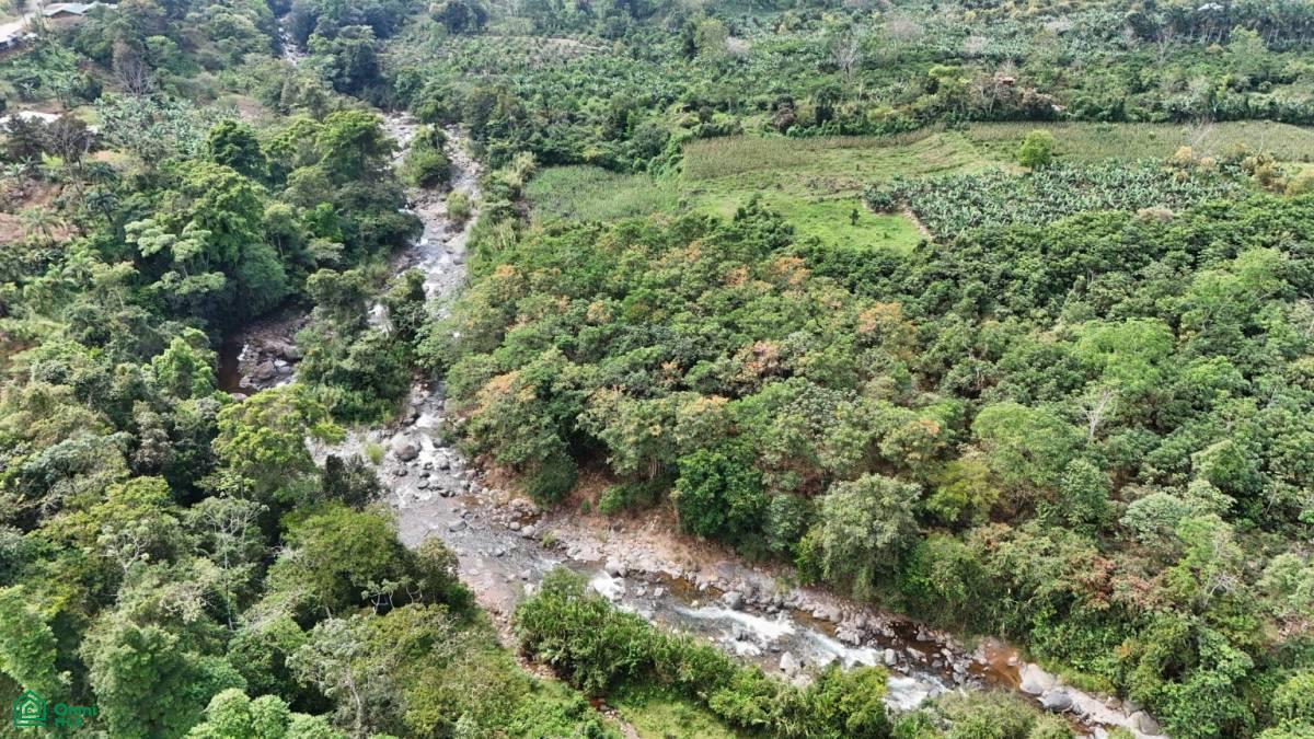 Finca Tierra Negra , San Pedro, Perez Zeledon, San Jose