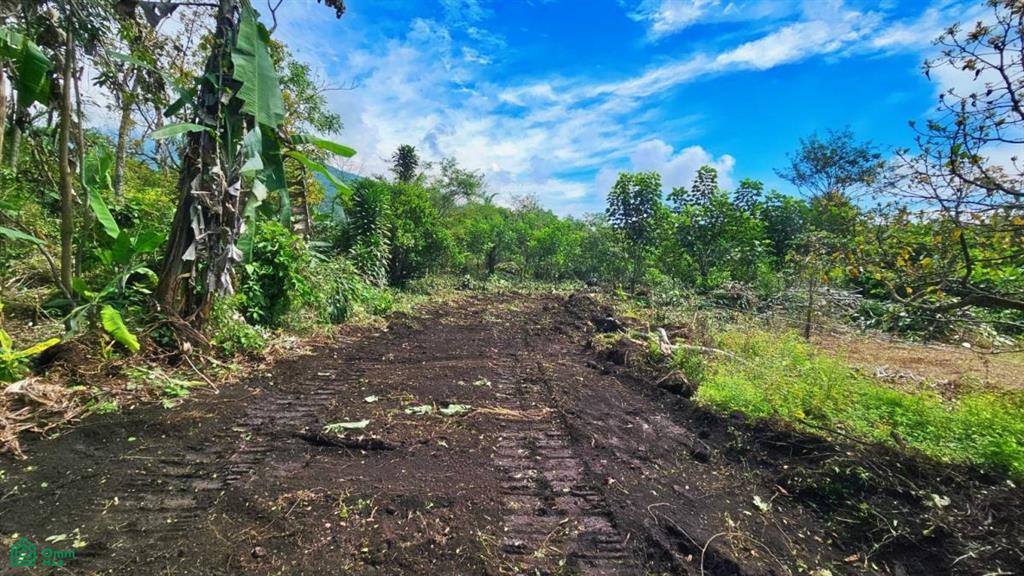 Finca Tierra Negra , San Pedro, Perez Zeledon, San Jose