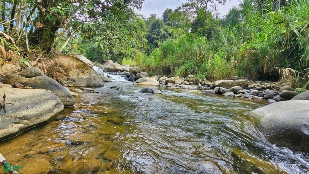 Finca Tierra Negra , San Pedro, Perez Zeledon, San Jose