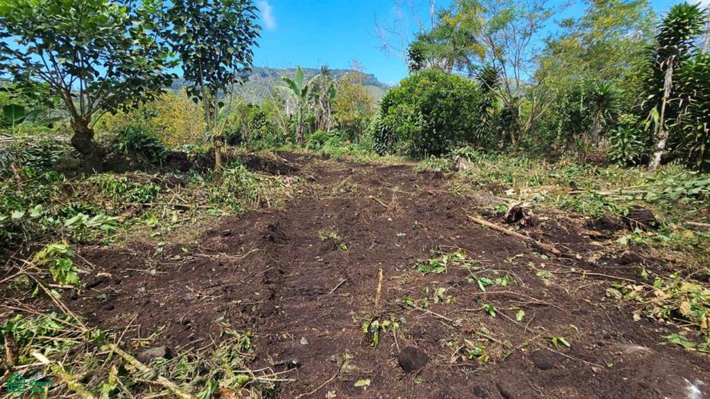 Finca Tierra Negra , San Pedro, Perez Zeledon, San Jose