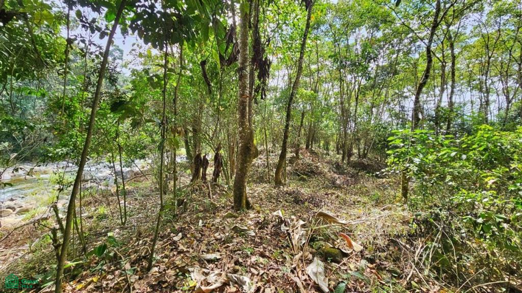 Finca Tierra Negra , San Pedro, Perez Zeledon, San Jose