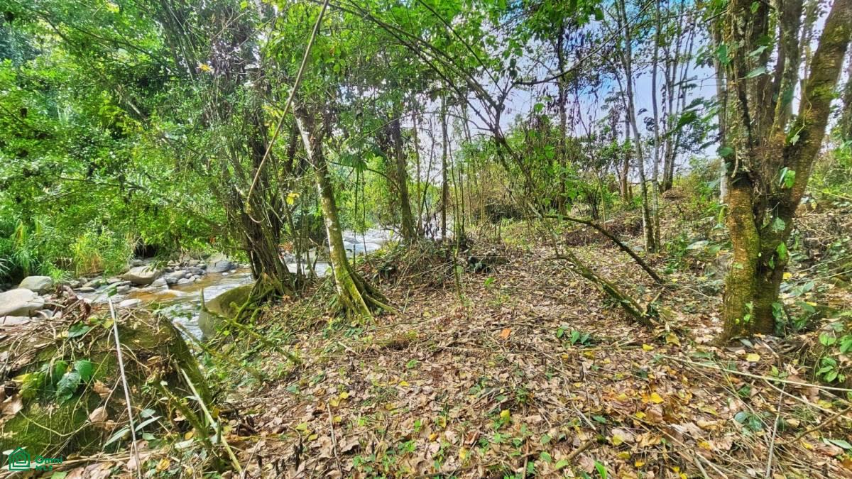 Finca Tierra Negra , San Pedro, Perez Zeledon, San Jose
