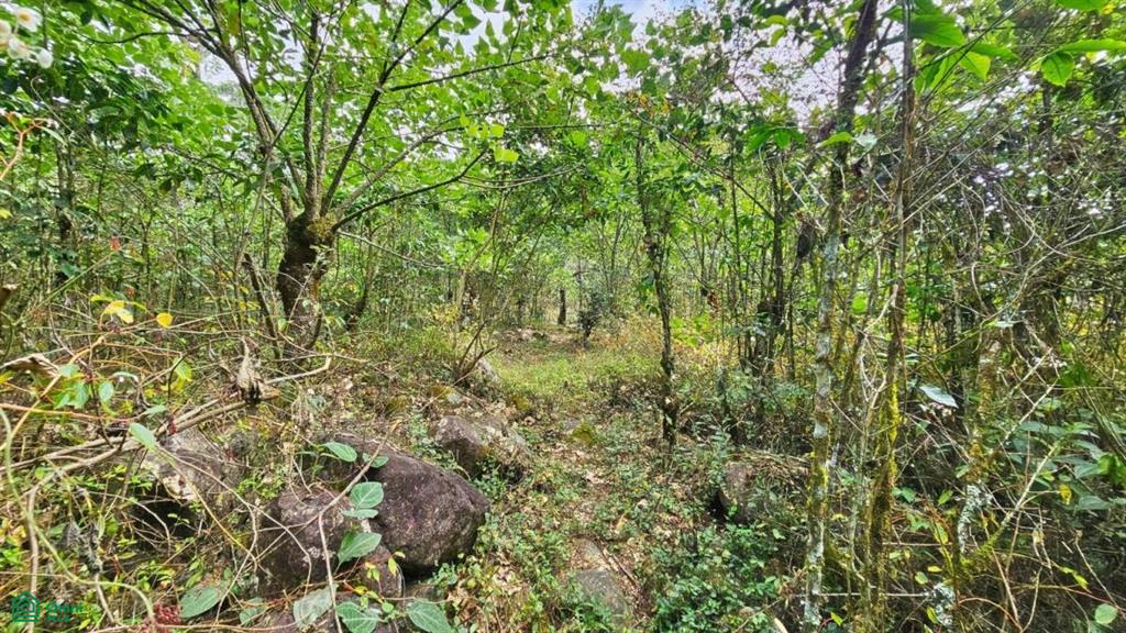 Finca Tierra Negra , San Pedro, Perez Zeledon, San Jose