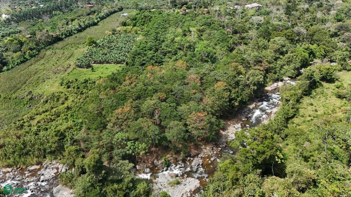 Finca Tierra Negra , San Pedro, Perez Zeledon, San Jose