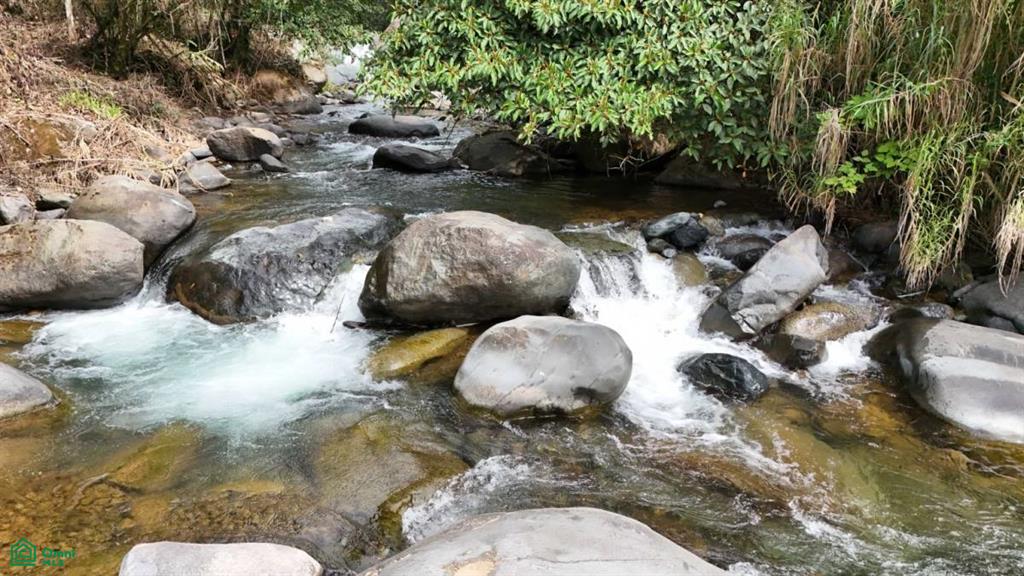 Finca Tierra Negra , San Pedro, Perez Zeledon, San Jose