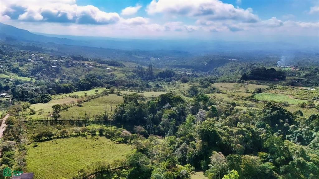 Finca Vida Orgánica , Cajón, Perez Zeledon, San Jose