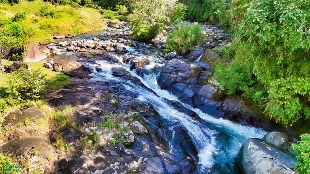 Finca Vida Orgánica , Cajón, Perez Zeledon, San Jose