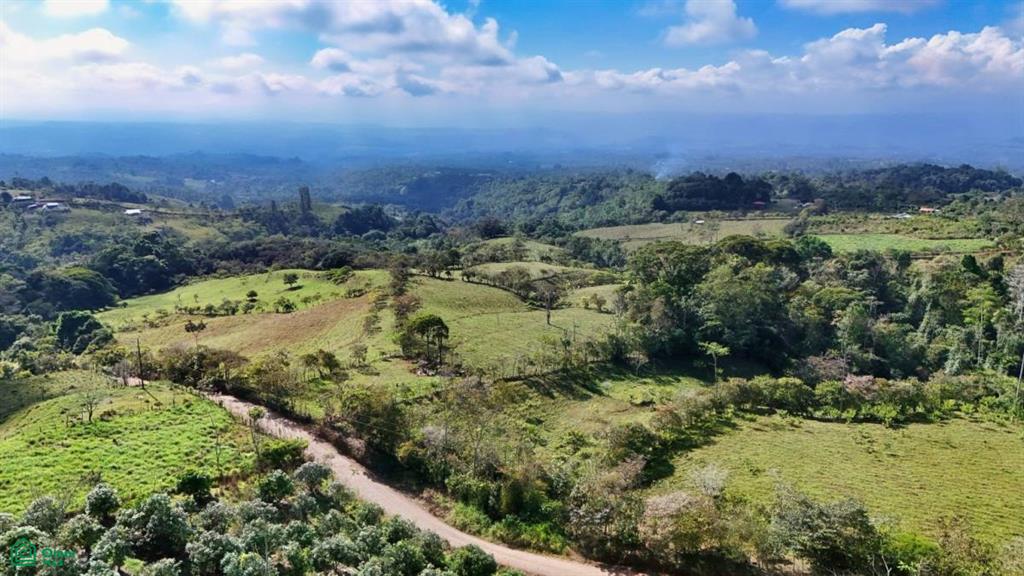 Finca Vida Orgánica , Cajón, Perez Zeledon, San Jose