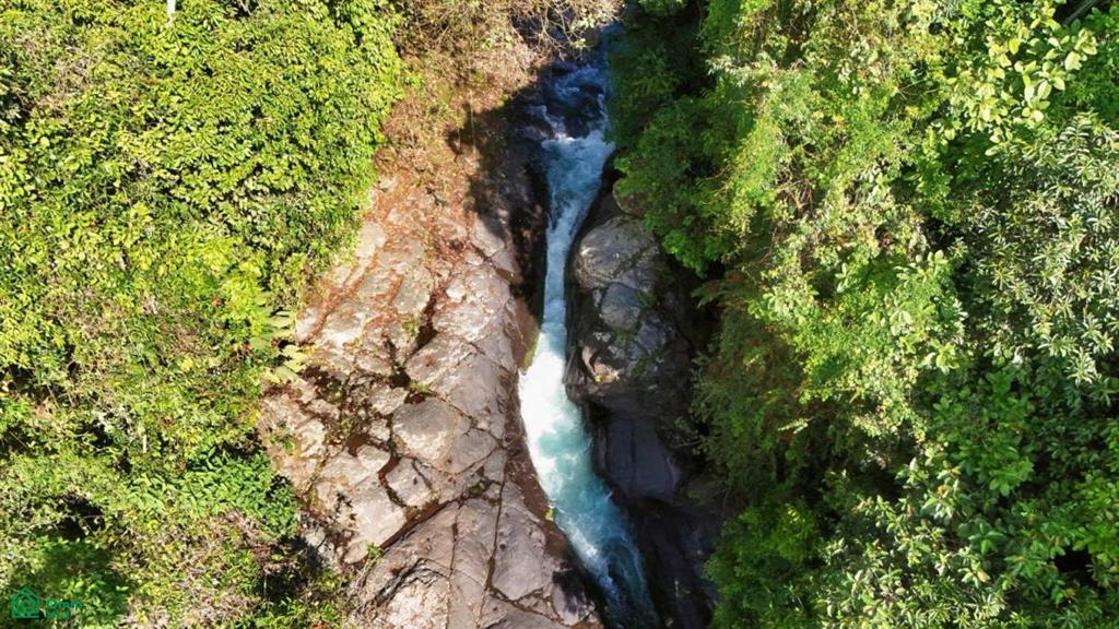 Finca Vida Orgánica , Cajón, Perez Zeledon, San Jose