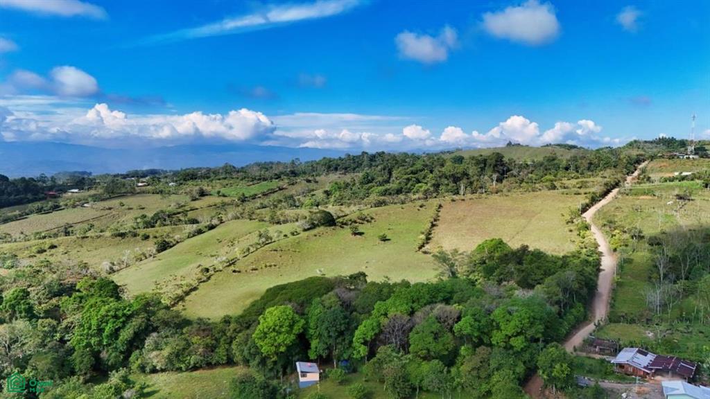 Finca Vida Orgánica , Cajón, Perez Zeledon, San Jose