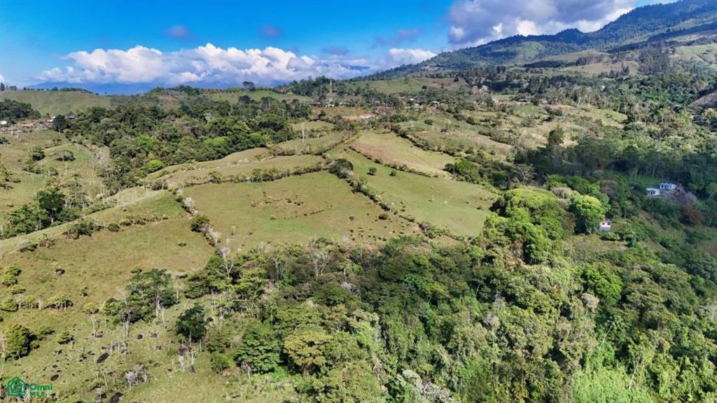 Finca Vida Orgánica , Cajón, Perez Zeledon, San Jose