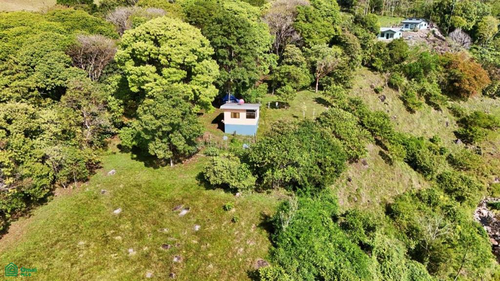 Finca Vida Orgánica , Cajón, Perez Zeledon, San Jose