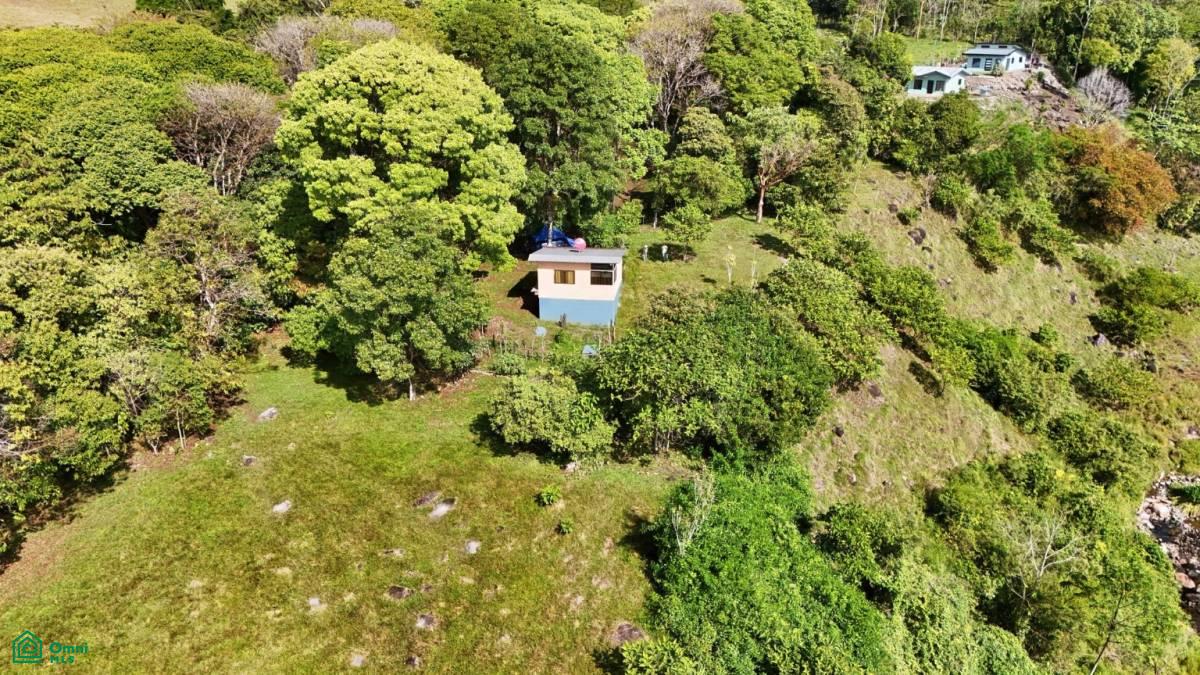 Finca Vida Orgánica , Cajón, Perez Zeledon, San Jose