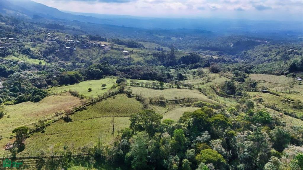 Finca Vida Orgánica , Cajón, Perez Zeledon, San Jose