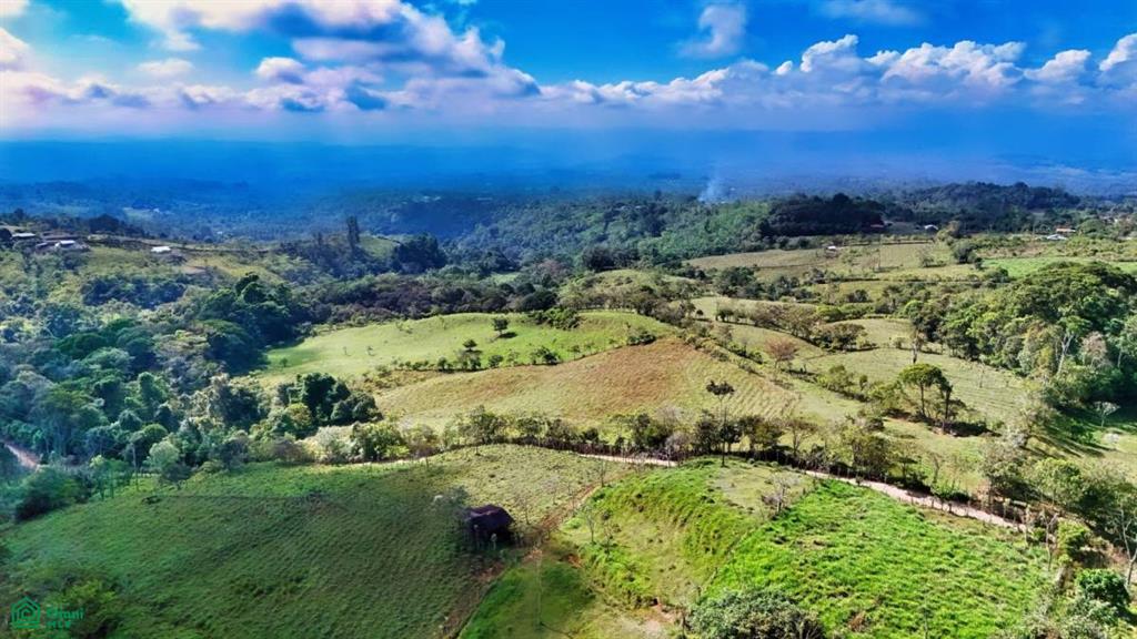 Finca Vida Orgánica , Cajón, Perez Zeledon, San Jose