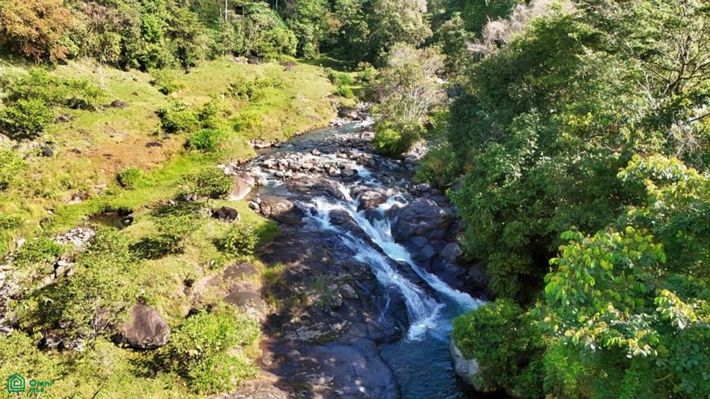 Finca Vida Orgánica , Cajón, Perez Zeledon, San Jose