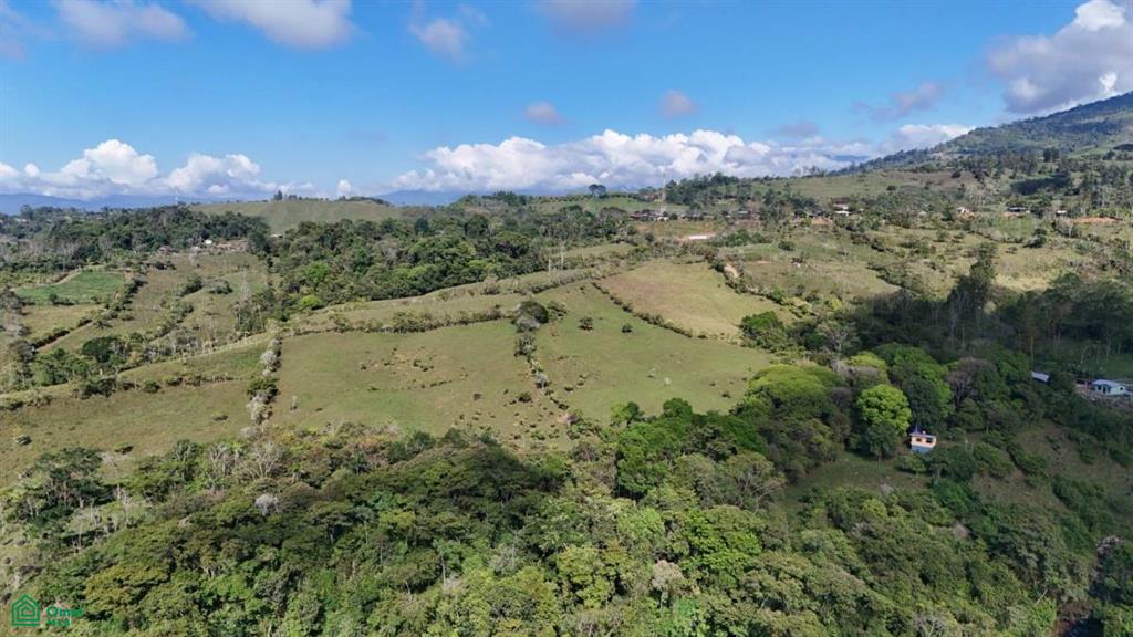 Finca Vida Orgánica , Cajón, Perez Zeledon, San Jose