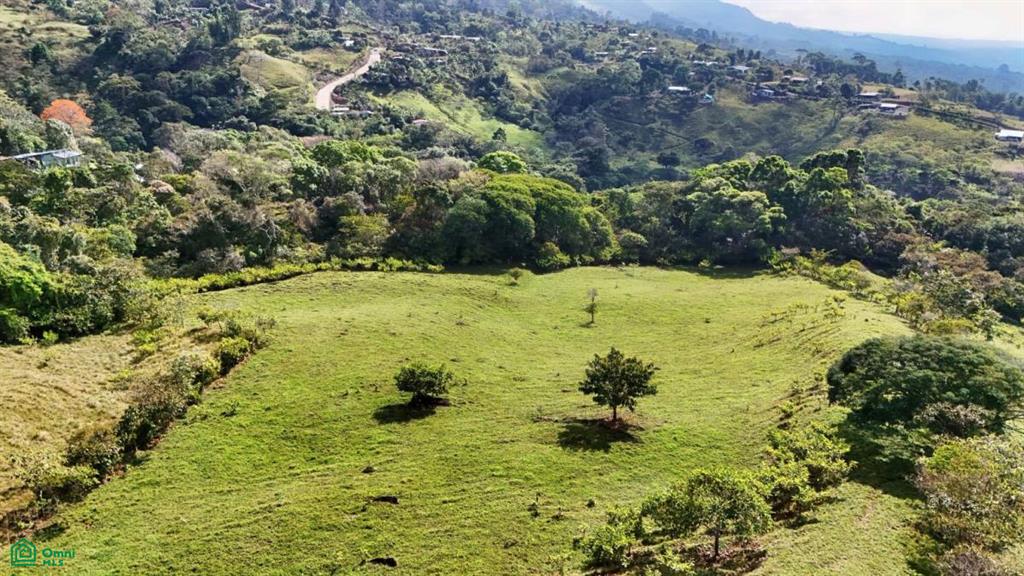 Finca Vida Orgánica , Cajón, Perez Zeledon, San Jose