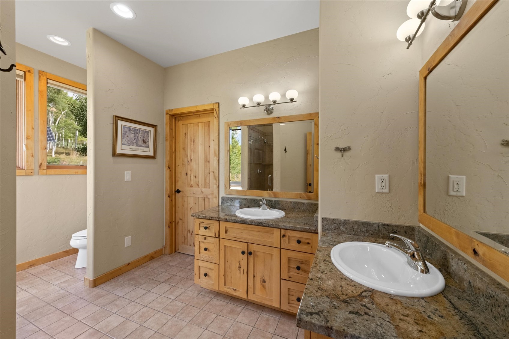 817 Ptarmigan TRAIL
