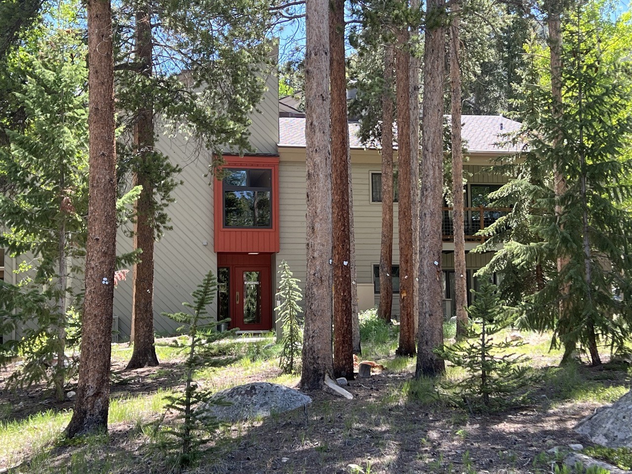 100 Wild Irishman ROAD 1110