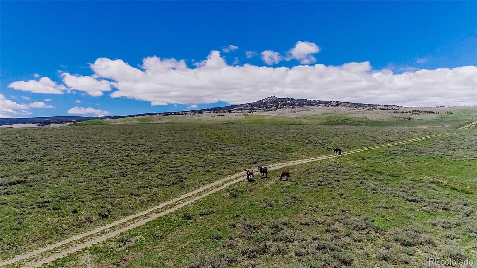 3695 Highway 14