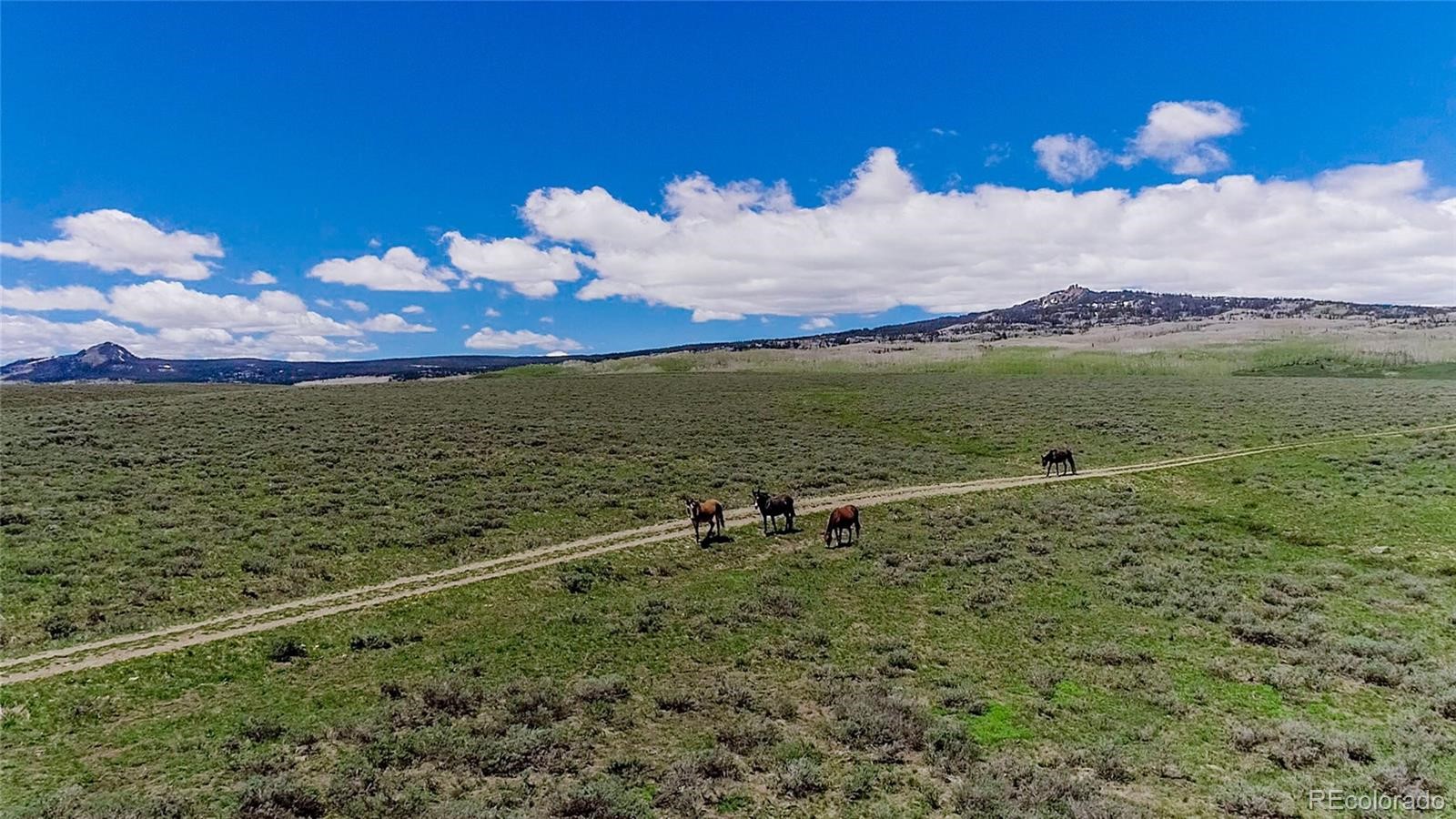 3695 Highway 14