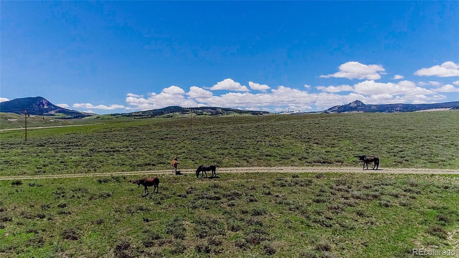 3695 Highway 14