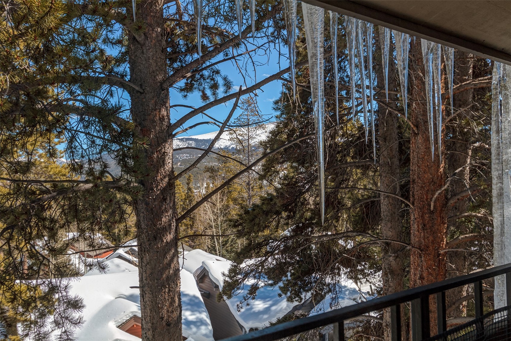 1127 Ski Hill ROAD 106