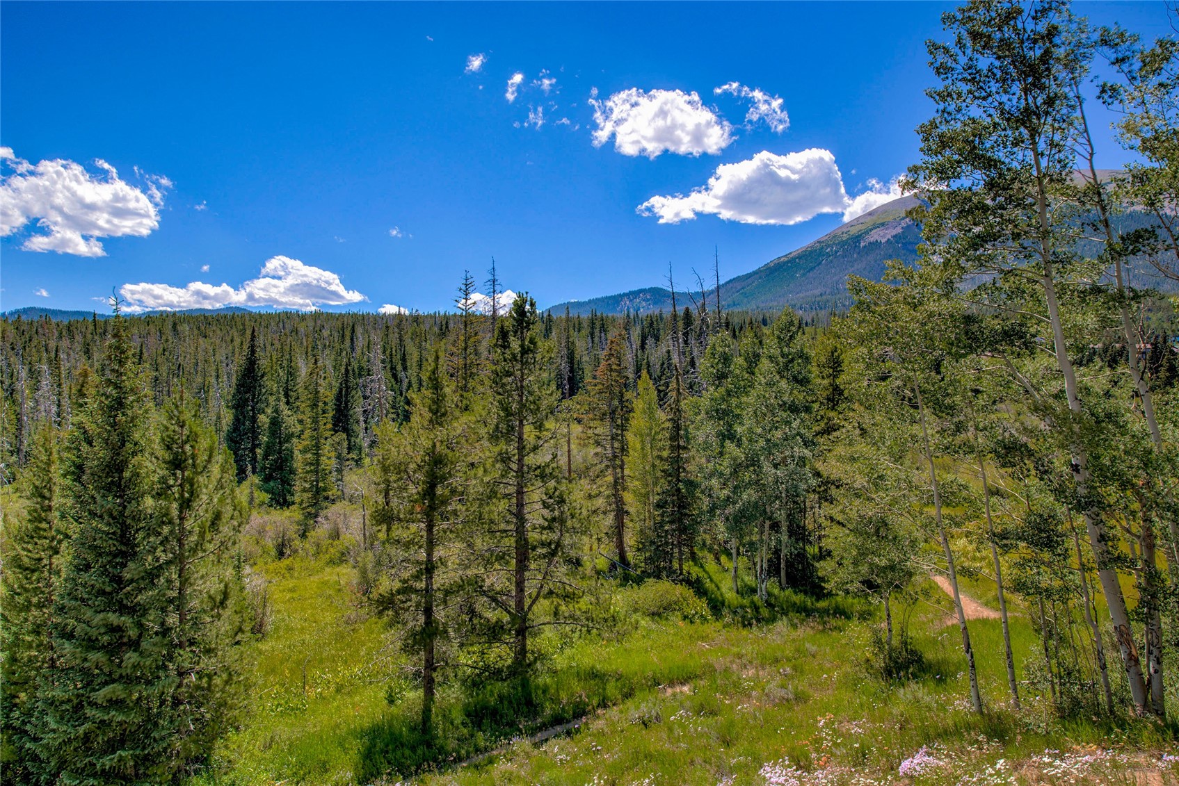 95200 Ryan Gulch ROAD 95215