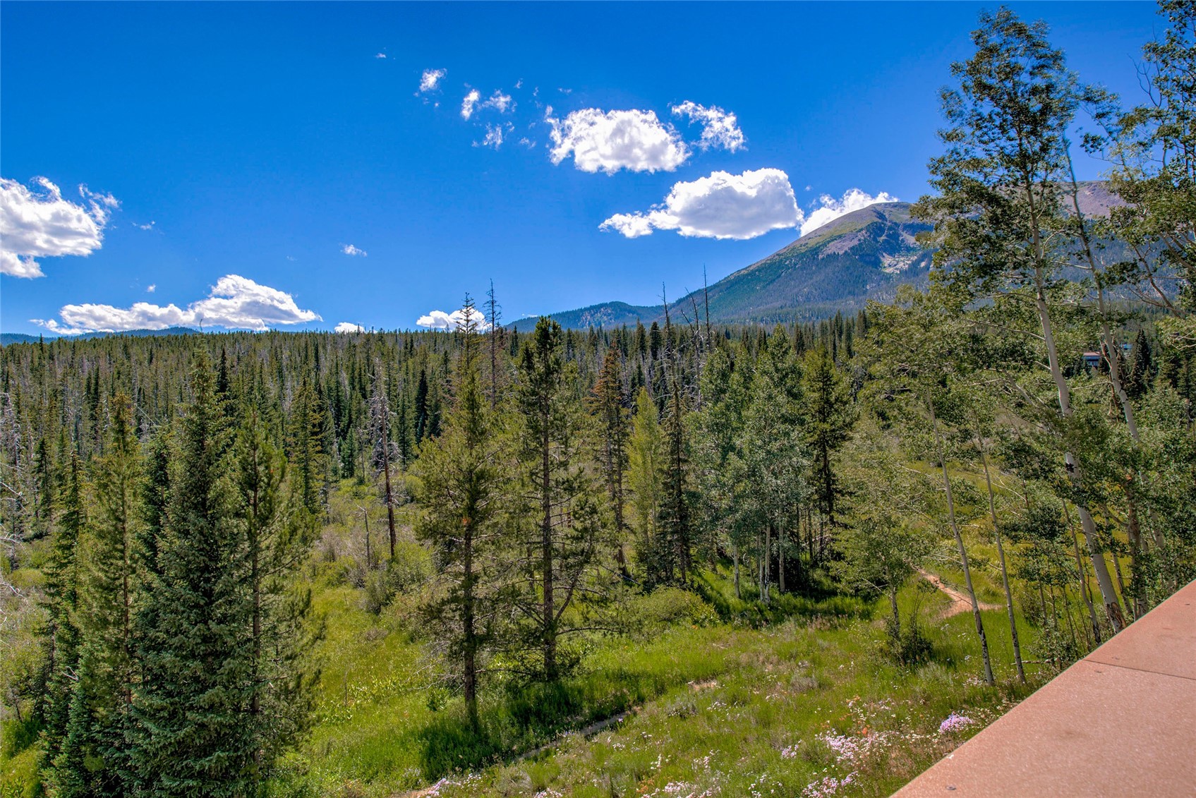 95200 Ryan Gulch ROAD 95215
