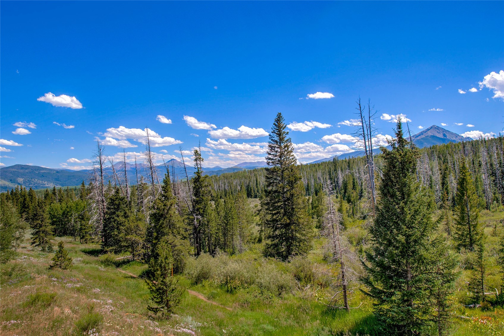 95200 Ryan Gulch ROAD 95215