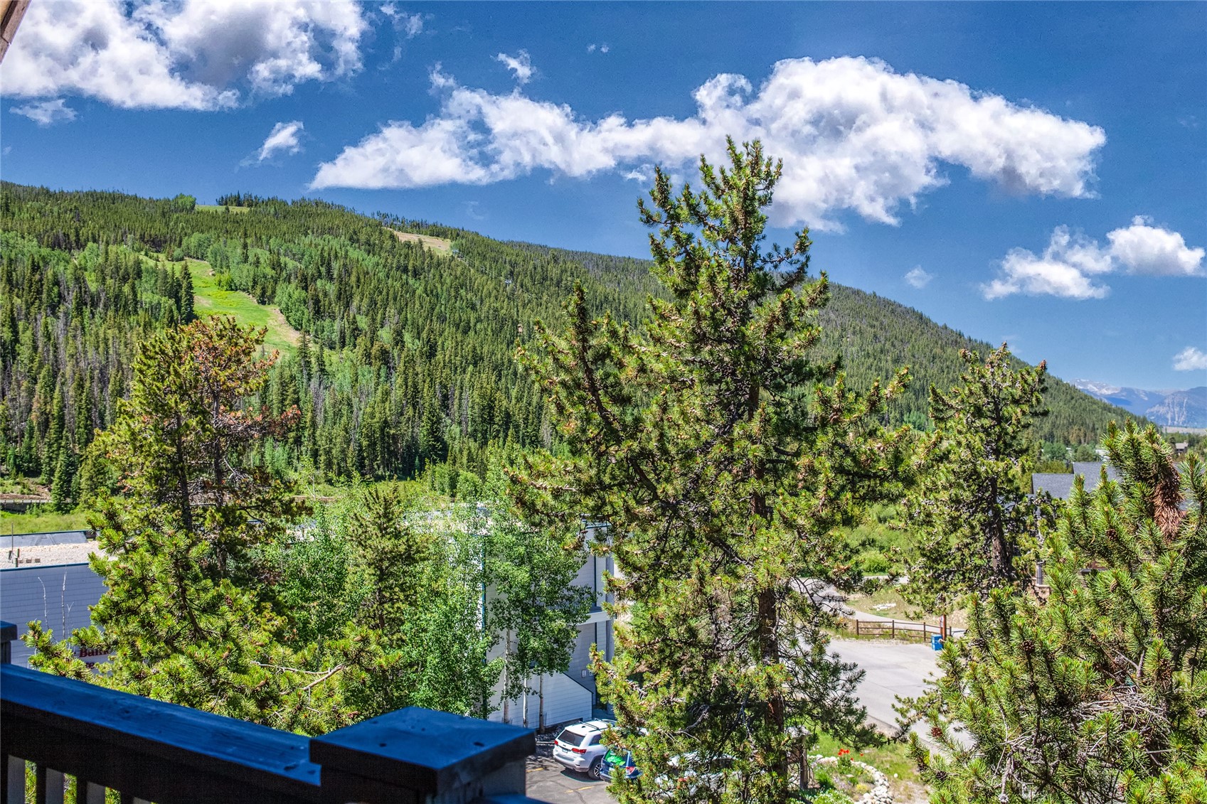 135 Dercum DRIVE 8634